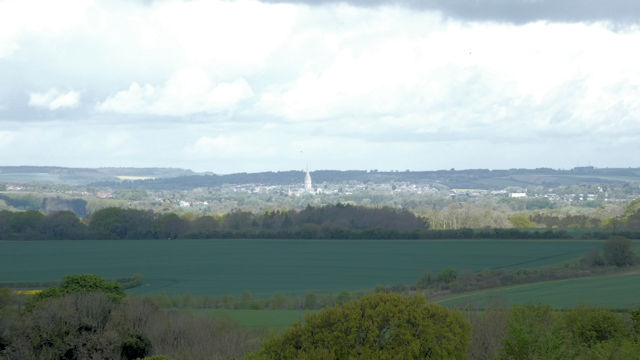 view
